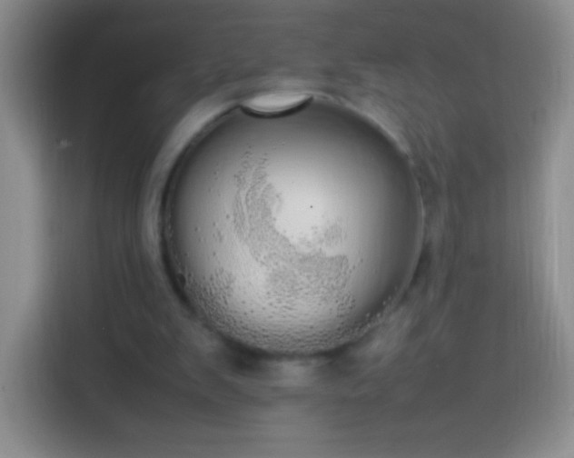 X0000113850103200910011009