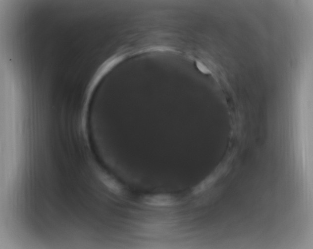 X0000113850104200910011009