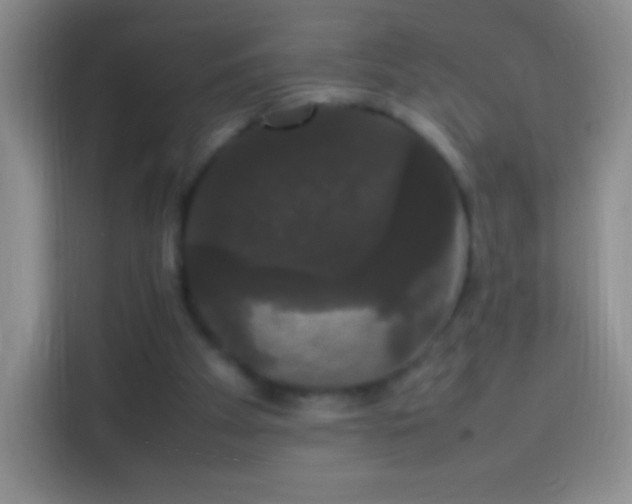 X0000113850105200910011009