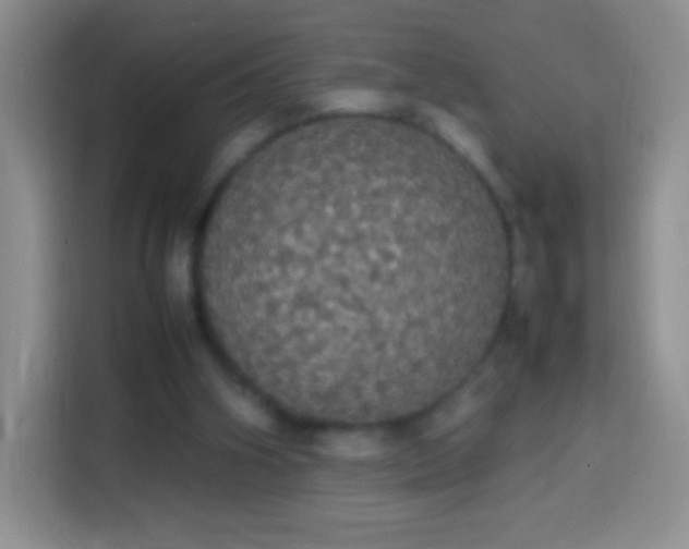 X0000113850106200910011009