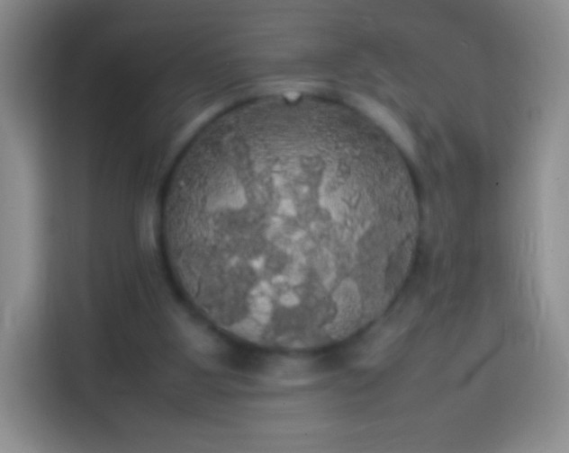 X0000113850107200910011009