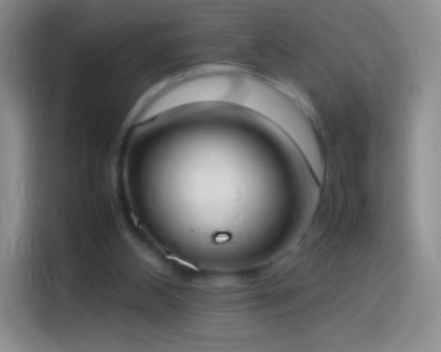 X0000113850108200910011009