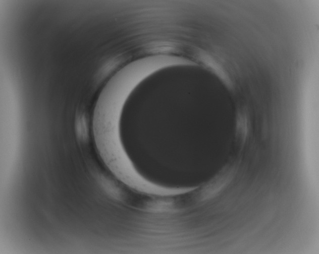 X0000113850110200910011009