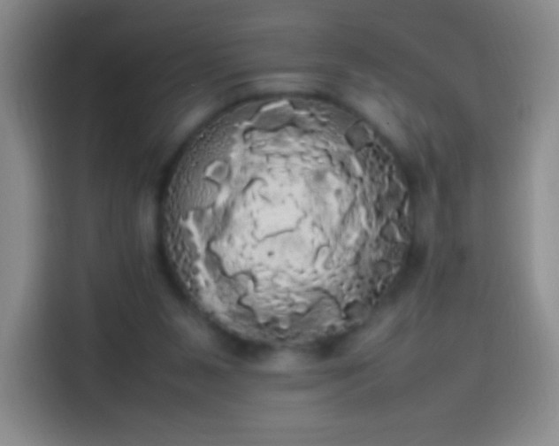 X0000113850111200910011009