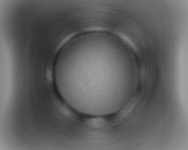 X0000113850112200910011008