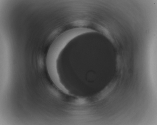 X0000113850114200910011008