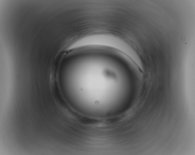 X0000113850116200910011008