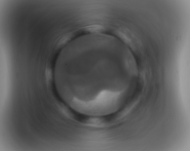 X0000113850117200910011008