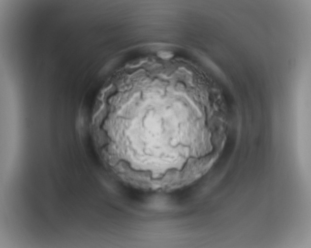 X0000113850119200910011008