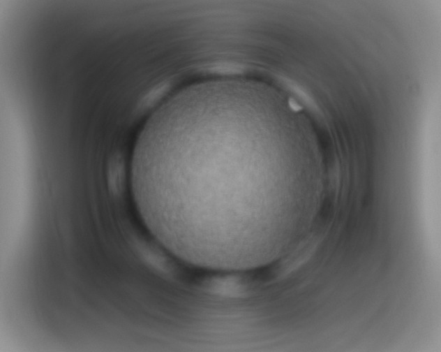 X0000113850120200910011008