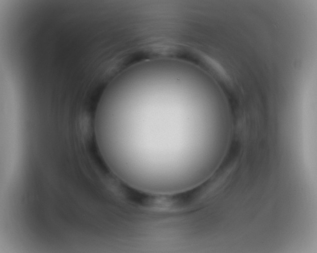 X0000113850121200910011008