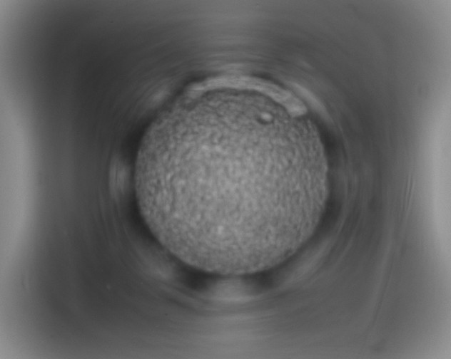 X0000113850123200910011008