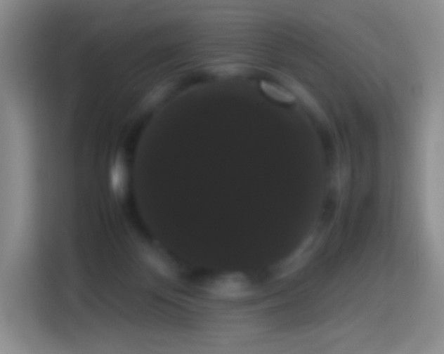 X0000113850124200910011008