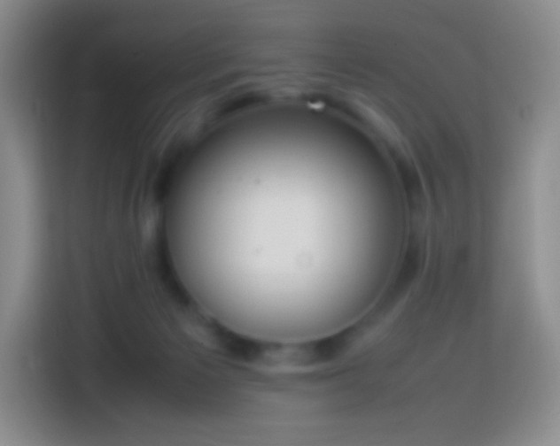 X0000113850125200910011008