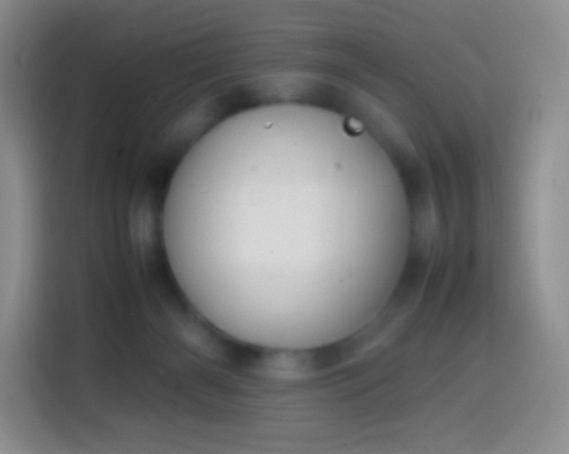 X0000113850126200910011008