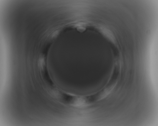 X0000113850127200910011008