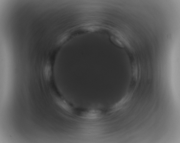 X0000113850128200910011008