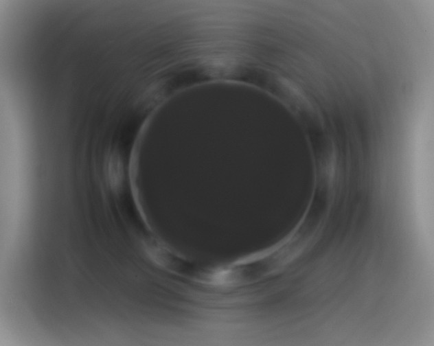 X0000113850130200910011008