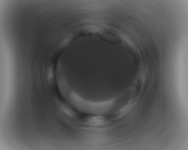 X0000113850132200910011008