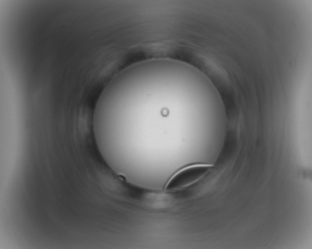 X0000113850133200910011008