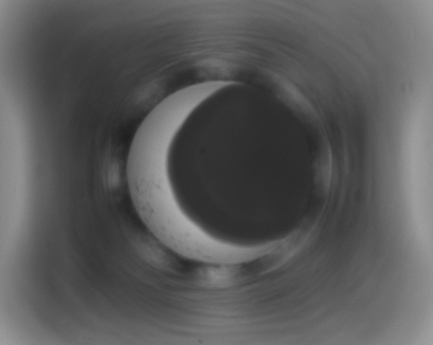 X0000113850134200910011008