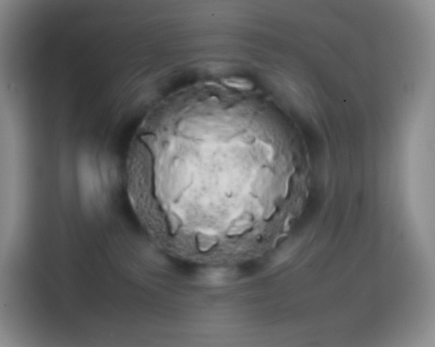 X0000113850135200910011008