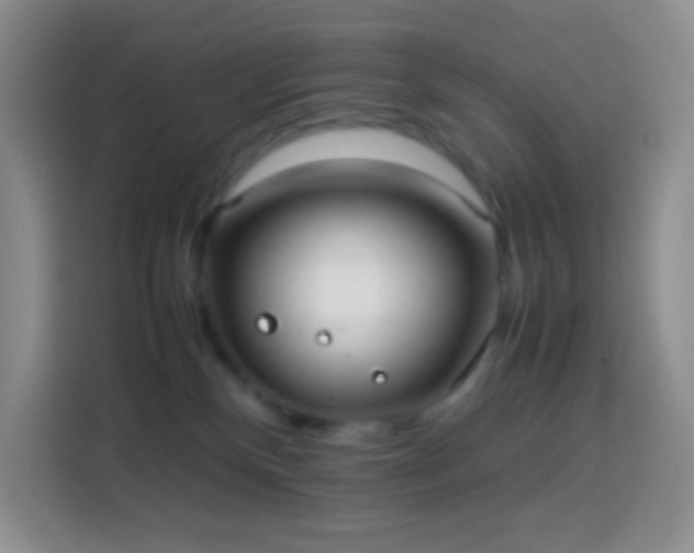 X0000113850136200910011008