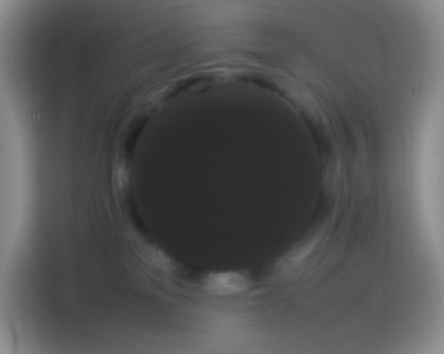 X0000113850137200910011008