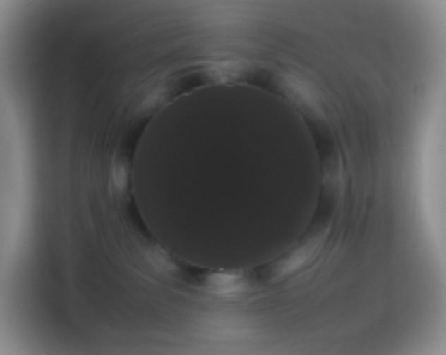 X0000113850139200910011008