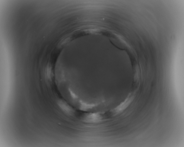 X0000113850140200910011008