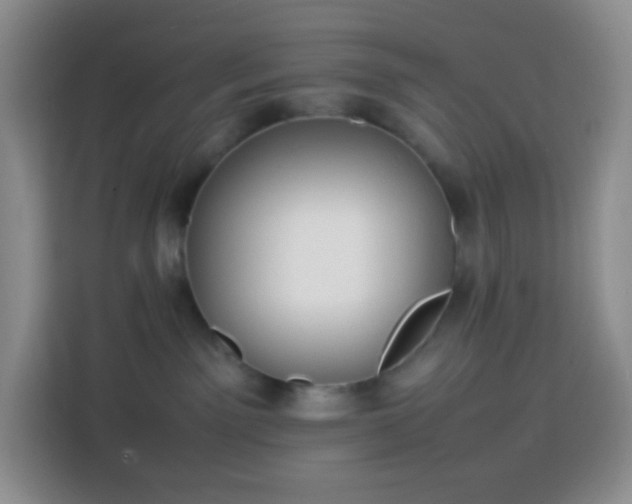 X0000113850141200910011008