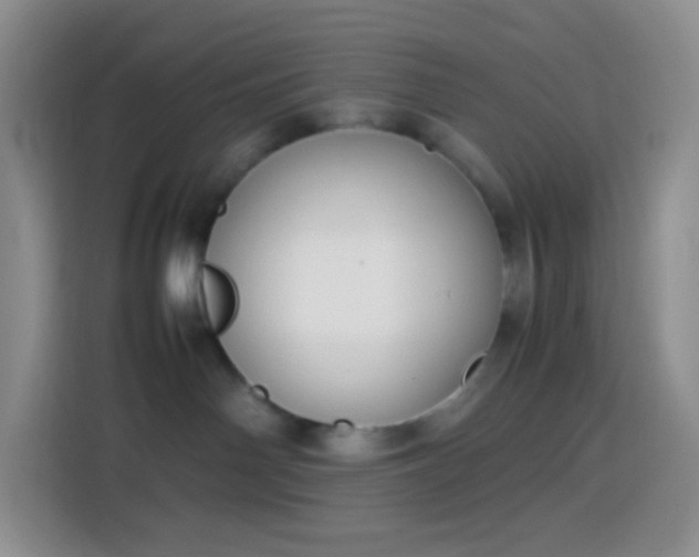 X0000113850142200910011008