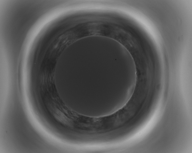 X0000113850143200910011008