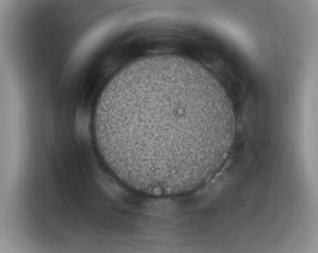 X0000113850146200910011007