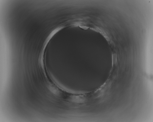 X0000113850147200910011007