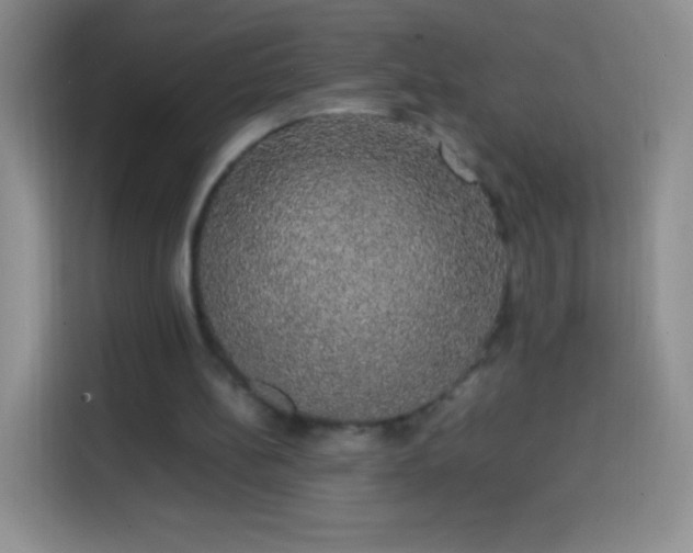 X0000113850148200910011007