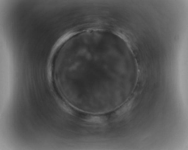 X0000113850149200910011008