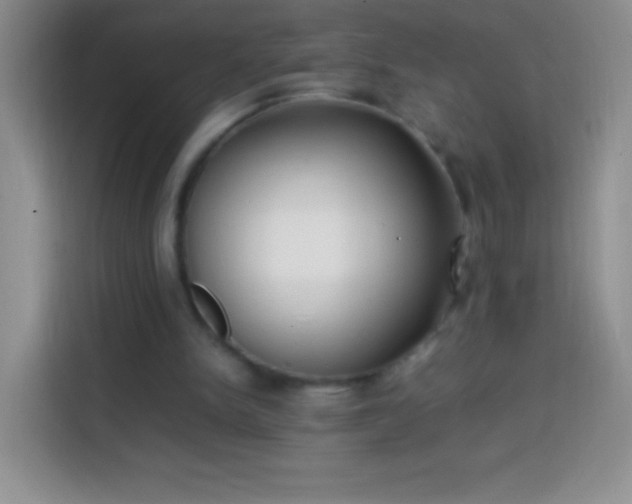 X0000113850150200910011008