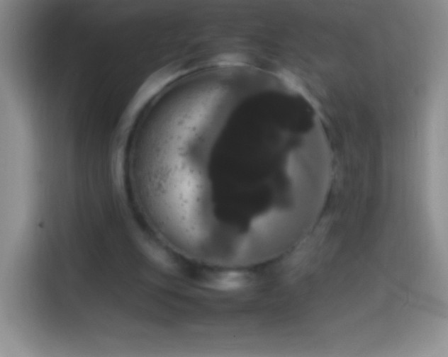 X0000113850151200910011008