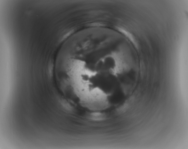 X0000113850153200910011008