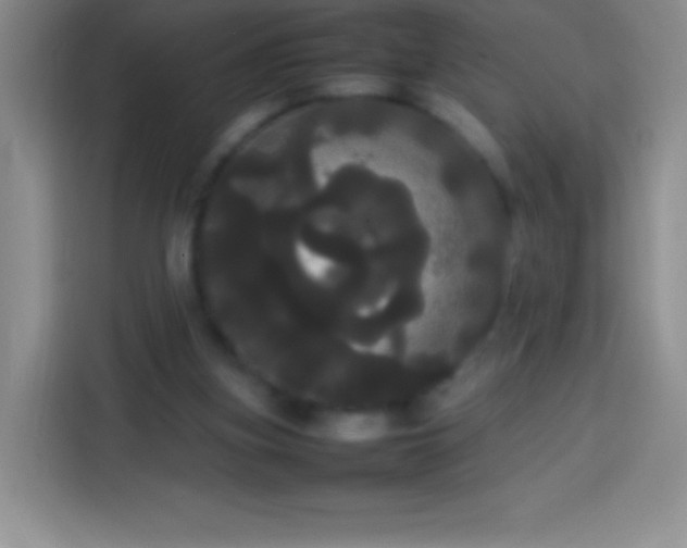 X0000113850155200910011008