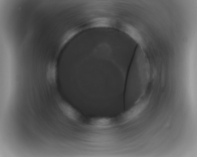 X0000113850156200910011008