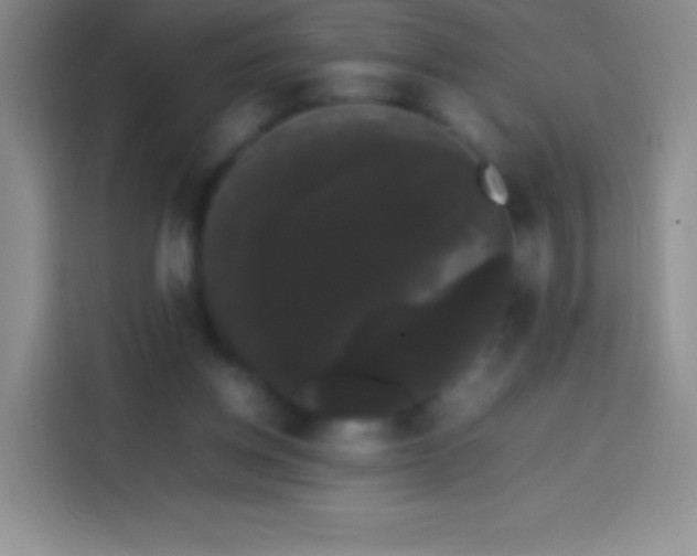 X0000113850158200910011008