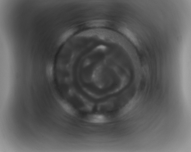 X0000113850159200910011008