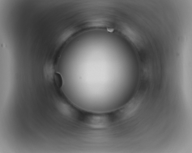 X0000113850160200910011008