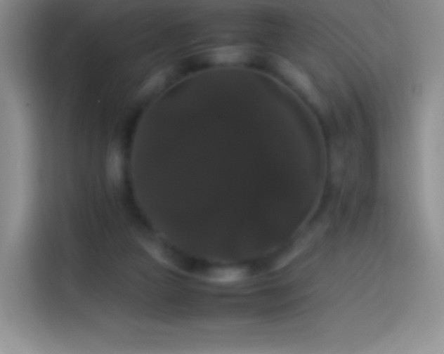 X0000113850161200910011008