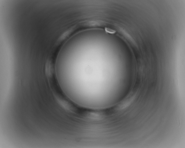 X0000113850164200910011008