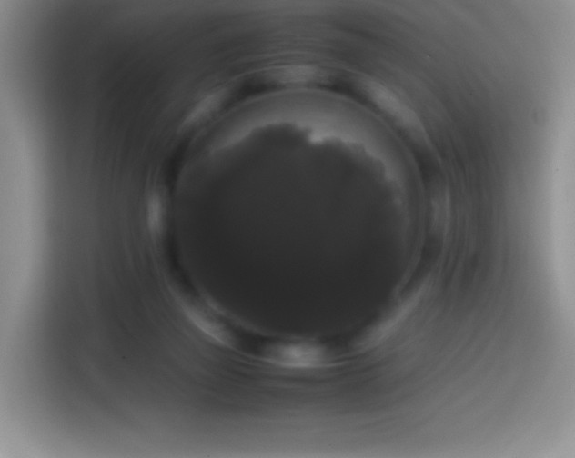 X0000113850165200910011008