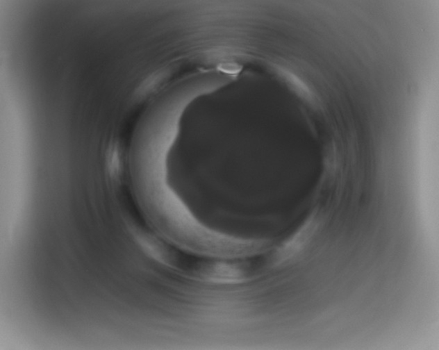 X0000113850166200910011008