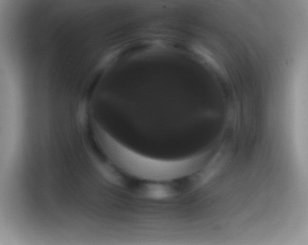 X0000113850167200910011008